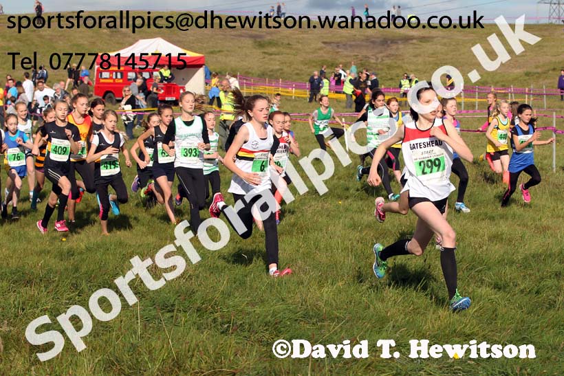 Girls under-13s, North East Harrier League, Cramlington. Photo: David T. Hewitson/Sports for All Pics